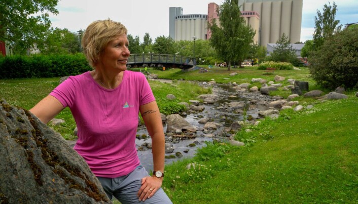 Ila-bekken i Trondheim et godt eksempel på at det å åpne opp naturlige vannveier i byen er en effektiv måte å få planter, dyr og mennesker til å vende tilbake, sier Dagmar Hagen. Ila-bekken i Trondheim et godt eksempel på at det å åpne opp naturlige vannveier i byen er en effektiv måte å få planter, dyr og mennesker til å vende tilbake, sier Dagmar Hagen.