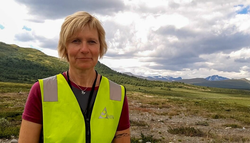 − Å tilbakeføre et 165 kvadratkilometer stort skytefelt til sin naturlige tilstand kostet ikke mer enn å bygge en middels stor rundkjøring, sier Dagmar Hagen. − Å tilbakeføre et 165 kvadratkilometer stort skytefelt til sin naturlige tilstand kostet ikke mer enn å bygge en middels stor rundkjøring, sier Dagmar Hagen.