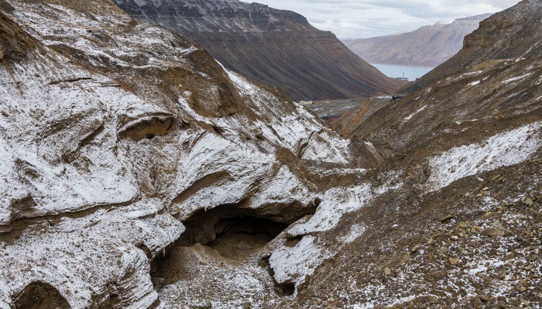 I permafrosten på Svalbard ligger dypfryste bakterier som kan gjøre mennesker syke. I permafrosten på Svalbard ligger dypfryste bakterier som kan gjøre mennesker syke.