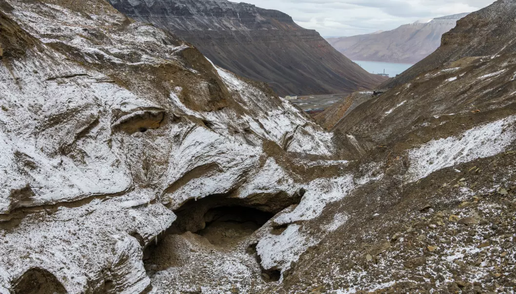 I permafrosten på Svalbard ligger dypfryste bakterier som kan gjøre mennesker syke.