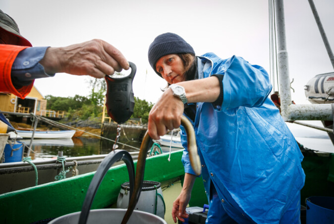 Caroline Durif på forskningsfiske etter ål i Lindås nord for Bergen.