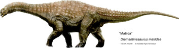 Matilda (Diamantinasaurus matildae) spiste planter, og var trolig 18-20 meter lang. (Tegning og copyright: Travis R. Tischler, Australian Age of Dinosaurs.) Matilda (Diamantinasaurus matildae) spiste planter, og var trolig 18-20 meter lang. (Tegning og copyright: Travis R. Tischler, Australian Age of Dinosaurs.)