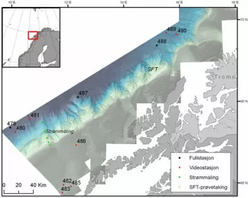 Kart over lokaliteter som ble besøkt i Nordland VII. (MAREANO/Havforskningsinstituttet)