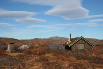 Foto: Høgskolen i Nord-Trøndelag Foto: Høgskolen i Nord-Trøndelag