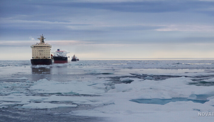 Så langt frakter femten 300 meter lange isbrytende tankskip gass ut av Sibir. Nå planlegges det å bygge cirka 60 skip til. Så langt frakter femten 300 meter lange isbrytende tankskip gass ut av Sibir. Nå planlegges det å bygge cirka 60 skip til.