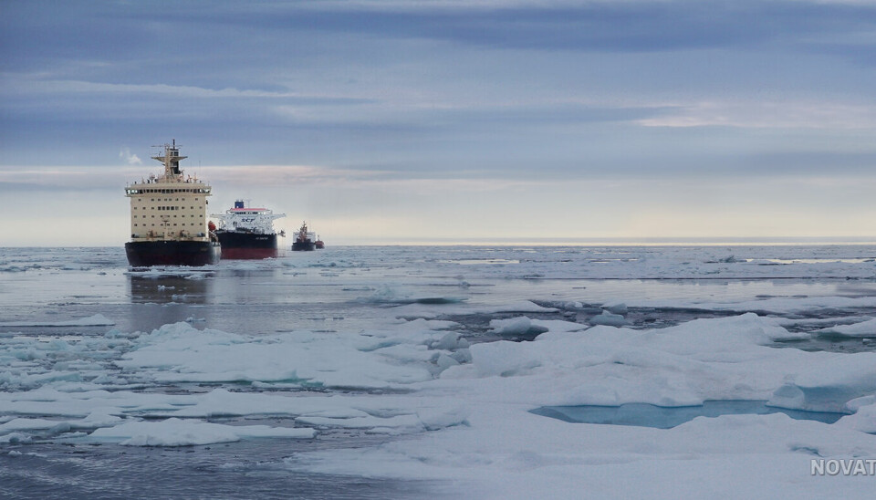 Så langt frakter femten 300 meter lange isbrytende tankskip gass ut av Sibir. Nå planlegges det å bygge cirka 60 skip til.