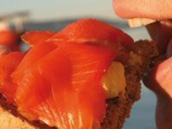 Kan kosttilskudd erstatte fet fisk som omega-3-kilde? Foto: NIFES Kan kosttilskudd erstatte fet fisk som omega-3-kilde? Foto: NIFES