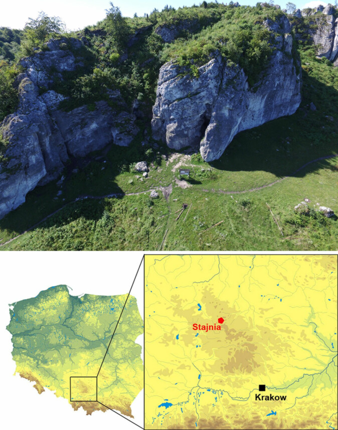 Øverst ser du Stajnia-hulen i det sørlige Polen der mammutsmykket, sylen og alle dyreknoklene ble funnet i 2010. Hulen befinner seg 359 meter over havets overflate, og de ny-daterte gjenstandene er bare en mindre del av en hel gullgruve av arkeologiske funn som er gjort i hulen.