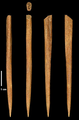 Fotografi av sylen som ble funnet med mammutsmykket. Syl er et typisk redskap hos Aurignacien-kulturen som forbindes med de tidligste moderne menneskene.