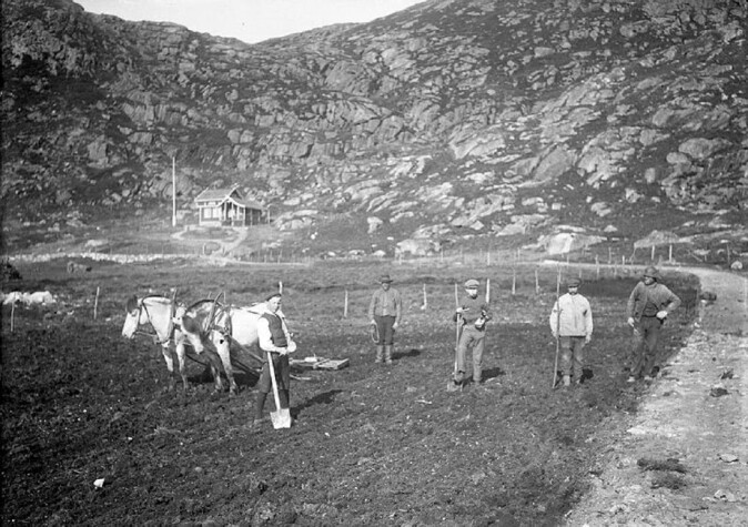 Agriculture has changed tremendously in recent generations, and so has species diversity. This photo is from Ramsdalen in Rogaland county around 1906. Agriculture has changed tremendously in recent generations, and so has species diversity. This photo is from Ramsdalen in Rogaland county around 1906.