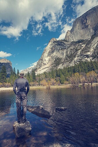 Yosemite in the United States. Would you cut down the trees here for the sake of the climate? Yosemite in the United States. Would you cut down the trees here for the sake of the climate?