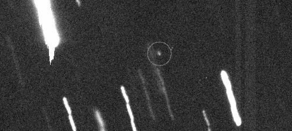 Apophis (i ringen) er fremdeles så langt unna at den er vanskelig å få på øye, men astronomer fra Hawaii har fulgt den gjennom flere år. (Foto: NASA/JPL)