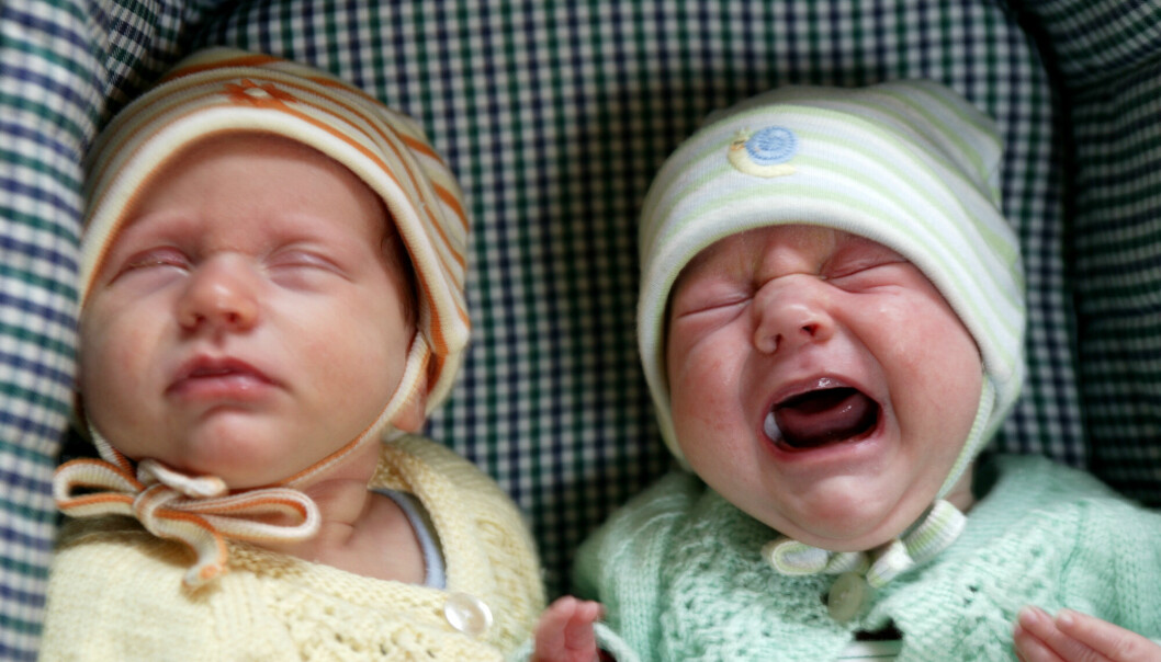 Toeggede tvillinger er naturens måte å gi eldre kvinner dobbelt så stor sjanse for å få i hvert fall ett barn, ifølge en ny studie.