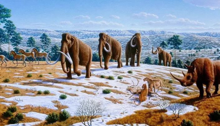 Den ullhårete mammuten var den siste mammuten som levde på jorda, før de store dyrene forsvant. De var godt tilpasset et kaldt klima. De døde ut på grunn av klimaendringer og mennesker som jaktet på dem.