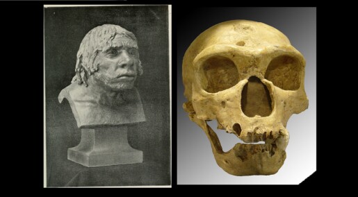 Skjelett­skader hos neandertaler kan være det eldste eksempelet på en sykdom som hoppet fra dyr