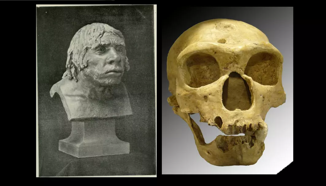 «Den gamle mannen», var en neandertaler som ble funnet i 1908. Bildet viser en rekonstruksjon av mannen fra 1915 og skallen.