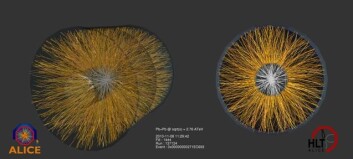 Bildet viser rekonstruerte spor av ladede partikler i ALICE sin hoveddetektor TPC (Time-Projection Chamber). De ladede partiklene ble dannet i en kollisjon mellom to blykjerner. (Illustrasjon: Cern) Bildet viser rekonstruerte spor av ladede partikler i ALICE sin hoveddetektor TPC (Time-Projection Chamber). De ladede partiklene ble dannet i en kollisjon mellom to blykjerner. (Illustrasjon: Cern)