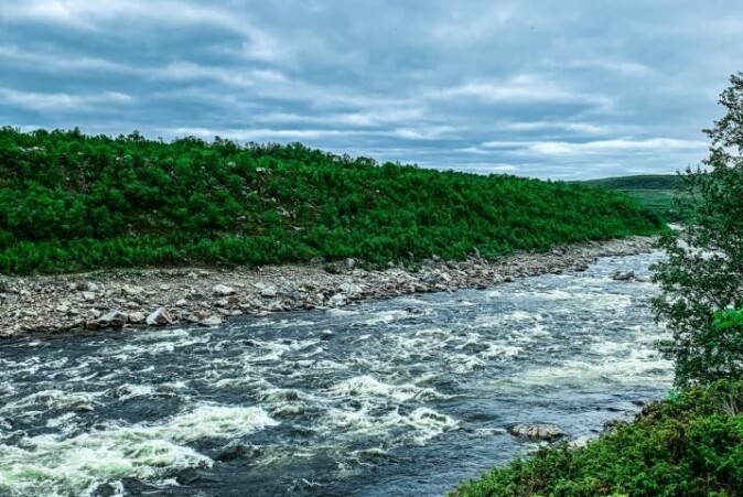 Tanavassdraget ble stengt for laksefiske i 2021 fordi antall gytende laks var for lavt. Tanavassdraget ble stengt for laksefiske i 2021 fordi antall gytende laks var for lavt.