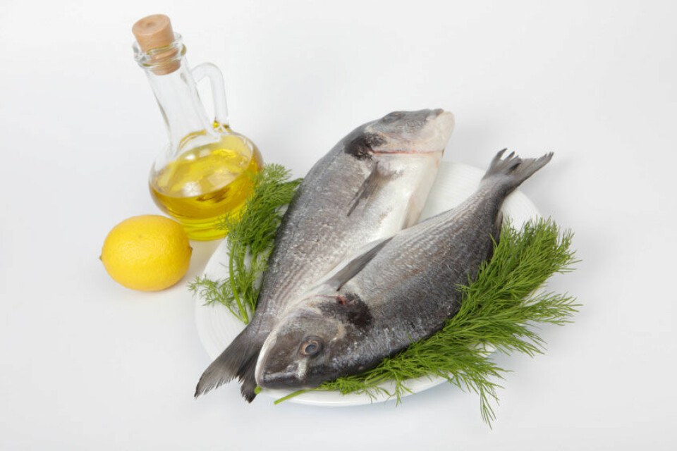 Olivenolje er viktig del av middelhavskosten. Det samme er et relativt høyt inntak av fisk. (Foto: iStockphoto)