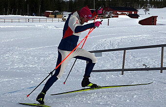 Top cross-country skiers go wicked fast – but they mostly train at low intensity