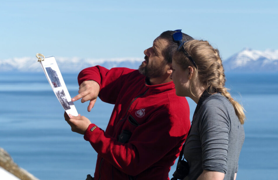 Sebstién Descamps (t.v.) og en student teller krykkjer ved fuglefjellet Alkhornet på Svalbard.