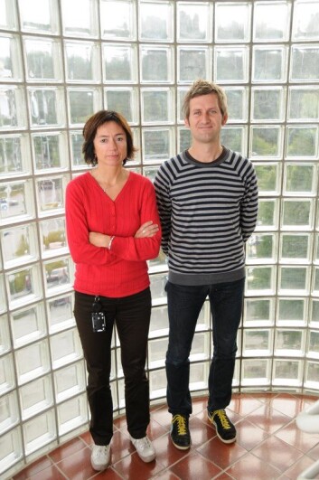 Vil redusere risiko: Seniorforskarane Brita Gjerstad og Anders Vassenden legg fram forslag til korleis ulukkesrisikoen kan reduserast. Prosjektleiar Christin Berg var ikkje til stades då biletet var teke. (Foto: IRIS) Vil redusere risiko: Seniorforskarane Brita Gjerstad og Anders Vassenden legg fram forslag til korleis ulukkesrisikoen kan reduserast. Prosjektleiar Christin Berg var ikkje til stades då biletet var teke. (Foto: IRIS)