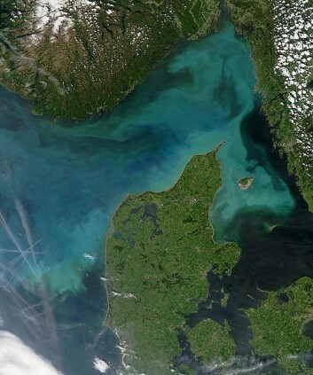 (Foto: NASA/Wikimedia Commons) (Foto: NASA/Wikimedia Commons)