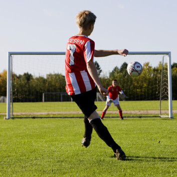 (Illustrasjonsfoto: www.colourbox.no) (Illustrasjonsfoto: www.colourbox.no)