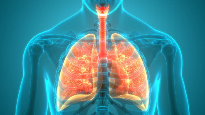 Lungene våre fungere stadig bedre.