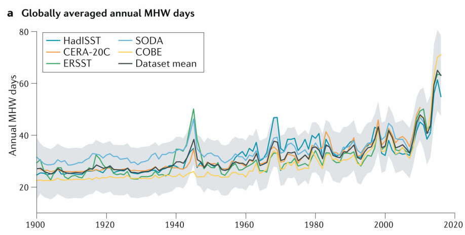 Stigning i globalt gjennomsnitt av antall dager med marine hetebølger siden 1900.