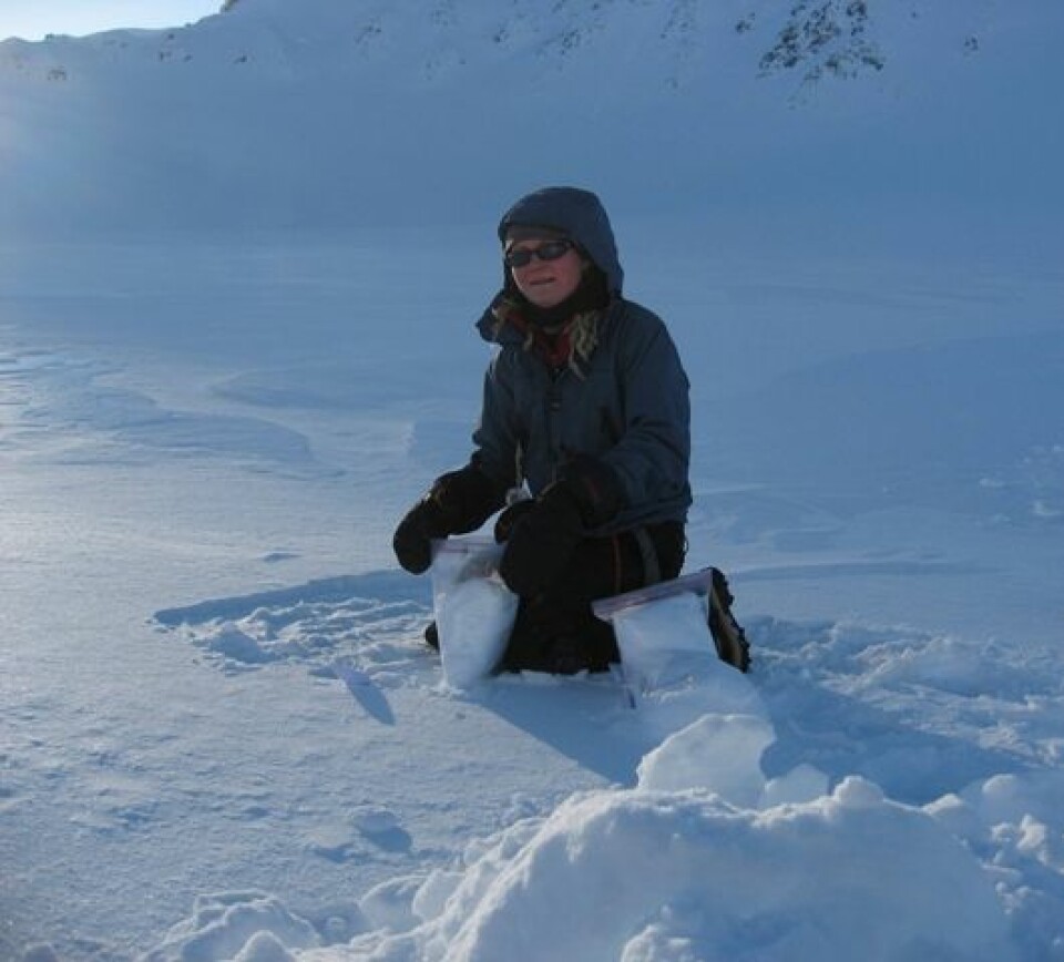 Sanja Forsström fra Norsk Polarinstitutt under feltarbeid på Svalbard. (Foto: Christina Alsvik Pedersen/Norsk Polarinstitutt)