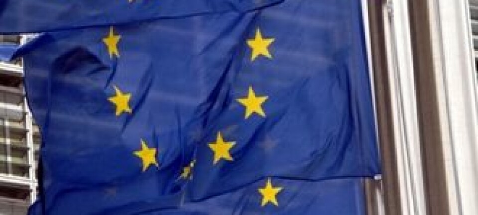 EU-flagg foran EU-kommisjonens bygg i Brussel.