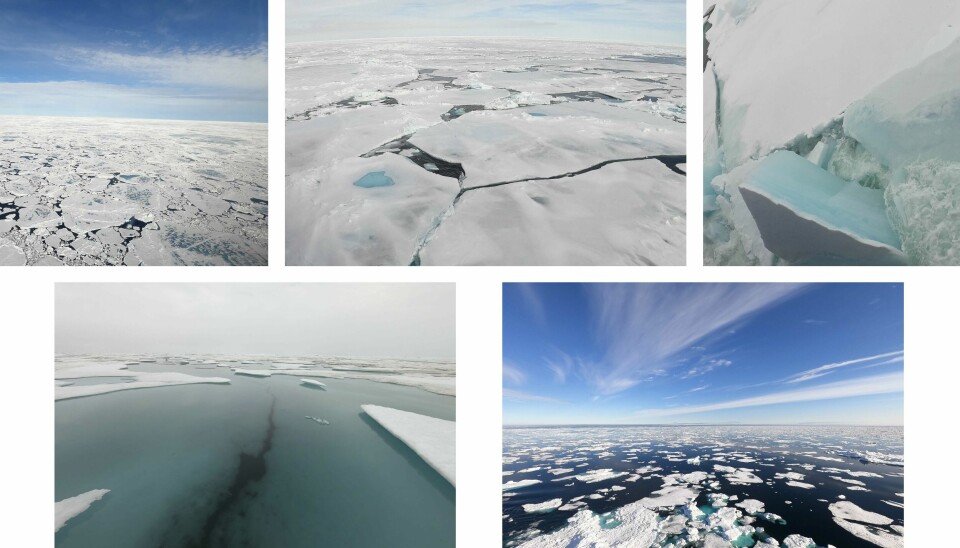 Så mange forskjellige typer havis.