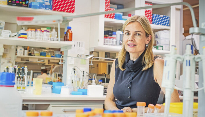 Johanna Olweus er professor ved Institutt for kreftforskning ved Radiumhospitalet og Universitetet i Oslo. Johanna Olweus er professor ved Institutt for kreftforskning ved Radiumhospitalet og Universitetet i Oslo.