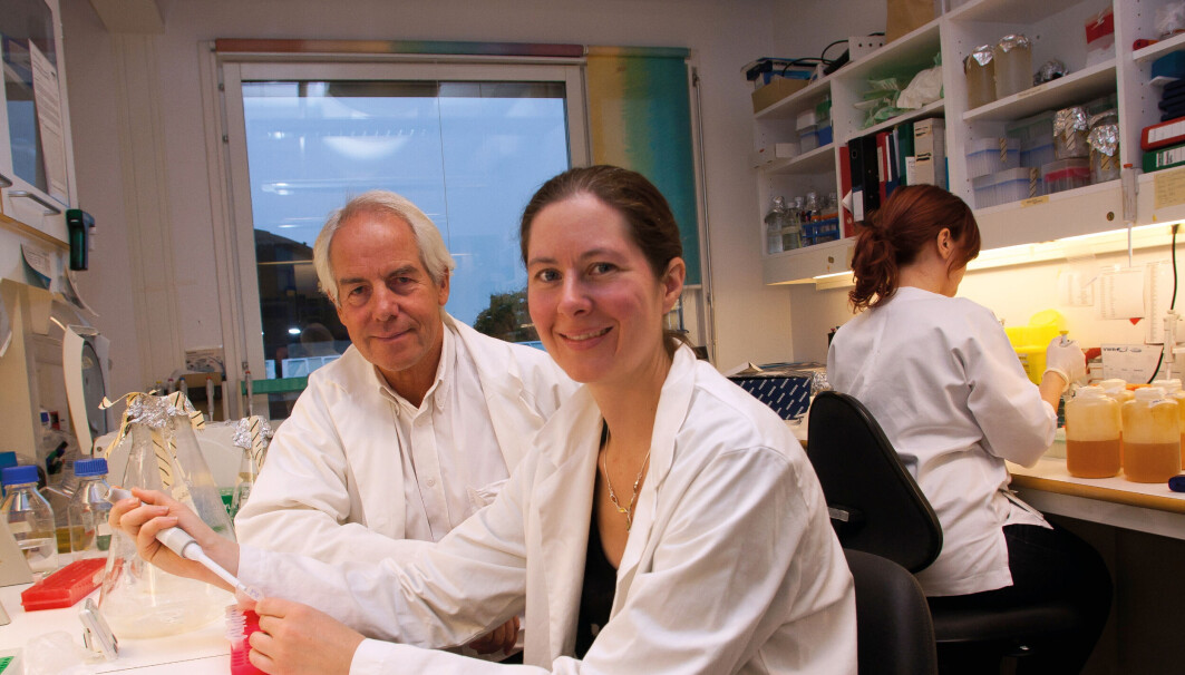 Virusekspert Gunnveig Grødeland har blitt godt kjent for mange i Norge under pandemien. Hun jobber blant annet med vaksineforskning, her sammen professor Bjarne Bogen ved Senter for immunregulering ved Universitetet i Oslo. Virusekspert Gunnveig Grødeland har blitt godt kjent for mange i Norge under pandemien. Hun jobber blant annet med vaksineforskning, her sammen professor Bjarne Bogen ved Senter for immunregulering ved Universitetet i Oslo.