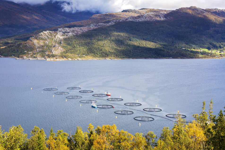 Lakseoppdrett på Helgelandskysten i Nordland.