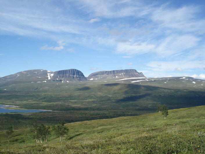 Skogen invaderer ikke nordområdene. Bildet viser Dividalen i Troms der forskere har kartlagt tregrensa. (Foto: S. Aune) Skogen invaderer ikke nordområdene. Bildet viser Dividalen i Troms der forskere har kartlagt tregrensa. (Foto: S. Aune)