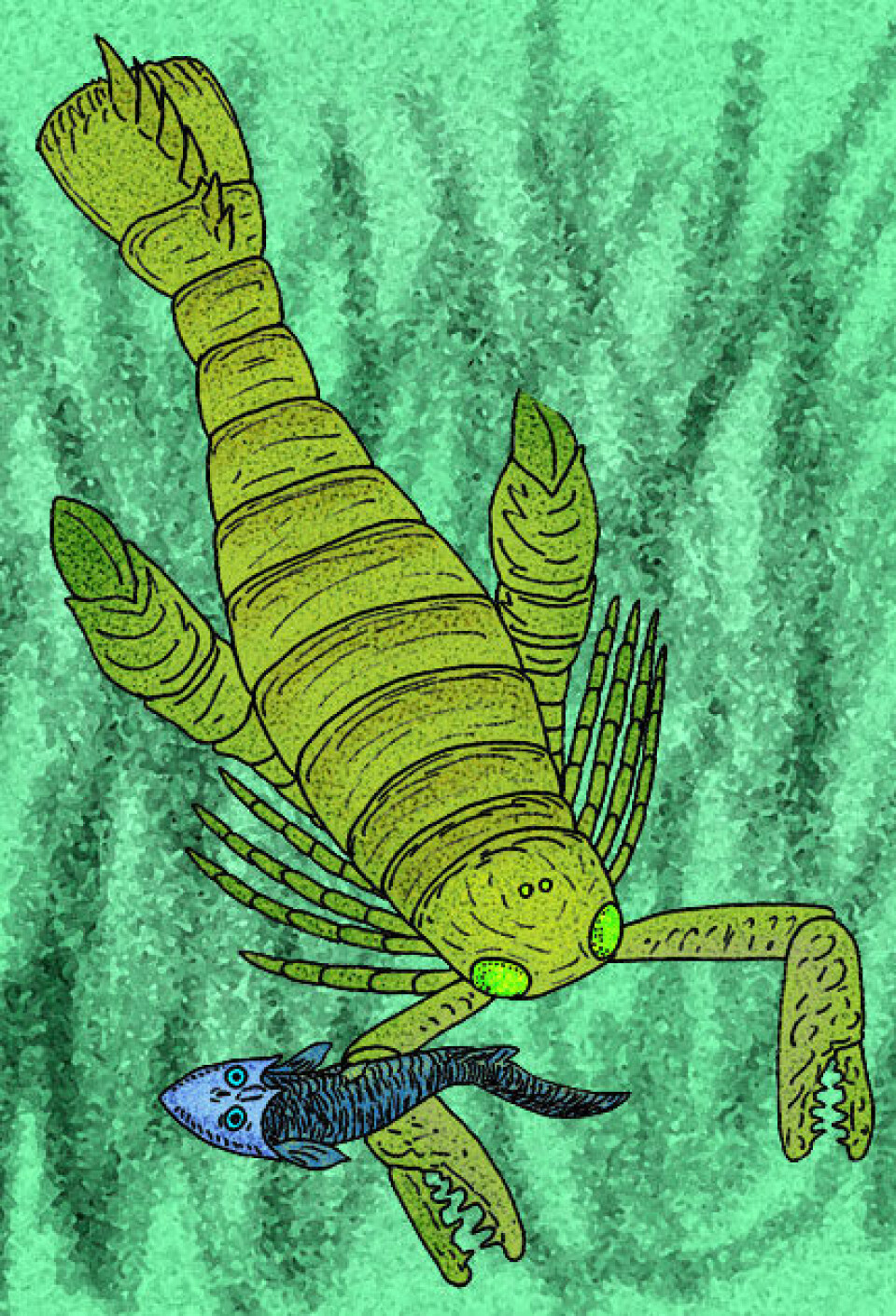 En kunstners ide av en sjøskorpion på jakt (slekten Acutiramus). (Illustrasjon: Stanton F. Fink/Wikipedia Commons)