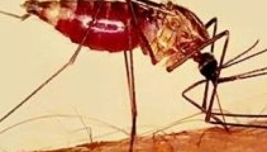 Malaria kompliserer mineskader