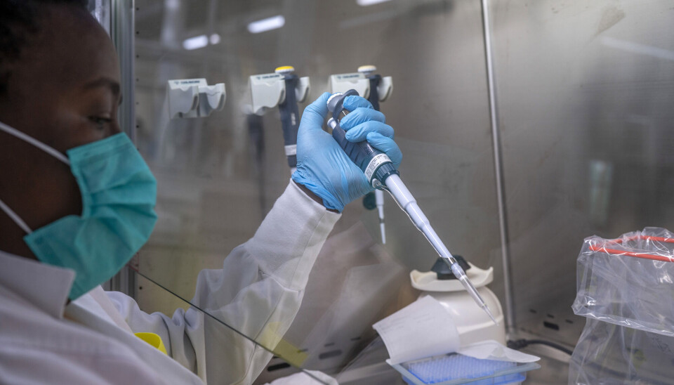 En laboratoriemedarbeider ved et forskningssenter i Elandsdoorn i Sør-Afrika, er i ferd med å teste en omikron-prøve.