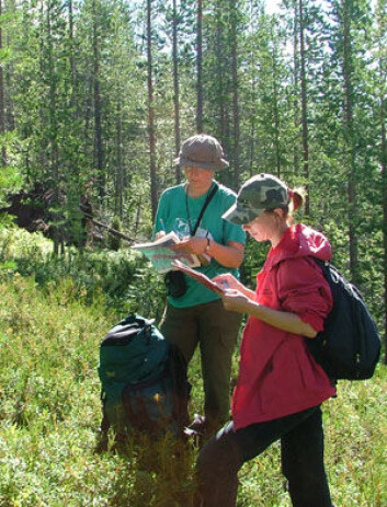 Registrering av skog under feltarbeid i Russland. (Foto: G. Rees) Registrering av skog under feltarbeid i Russland. (Foto: G. Rees)