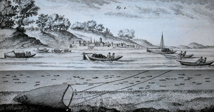 Trålfiske fra 1700-tallets Frankrike gjengitt i et kjent verk utgitt av vitenskapsmannen Henri-Louis Duhamel du Monceaus i 1769. Trålfiske fra 1700-tallets Frankrike gjengitt i et kjent verk utgitt av vitenskapsmannen Henri-Louis Duhamel du Monceaus i 1769.