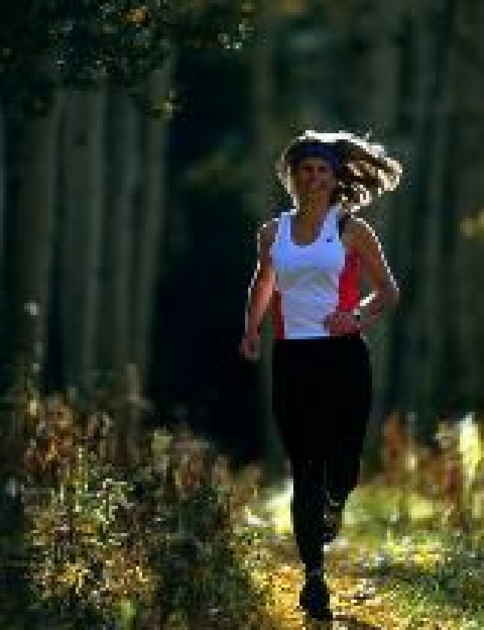 'Noen synes tydeligvis det er gøy å jogge. Andre blir slitne bare av tanken. Men lange avbrekk mellom periodene med trening kan gjøre det vanskelig å bli kvitt kiloene igjen, advarer en ny studie.'