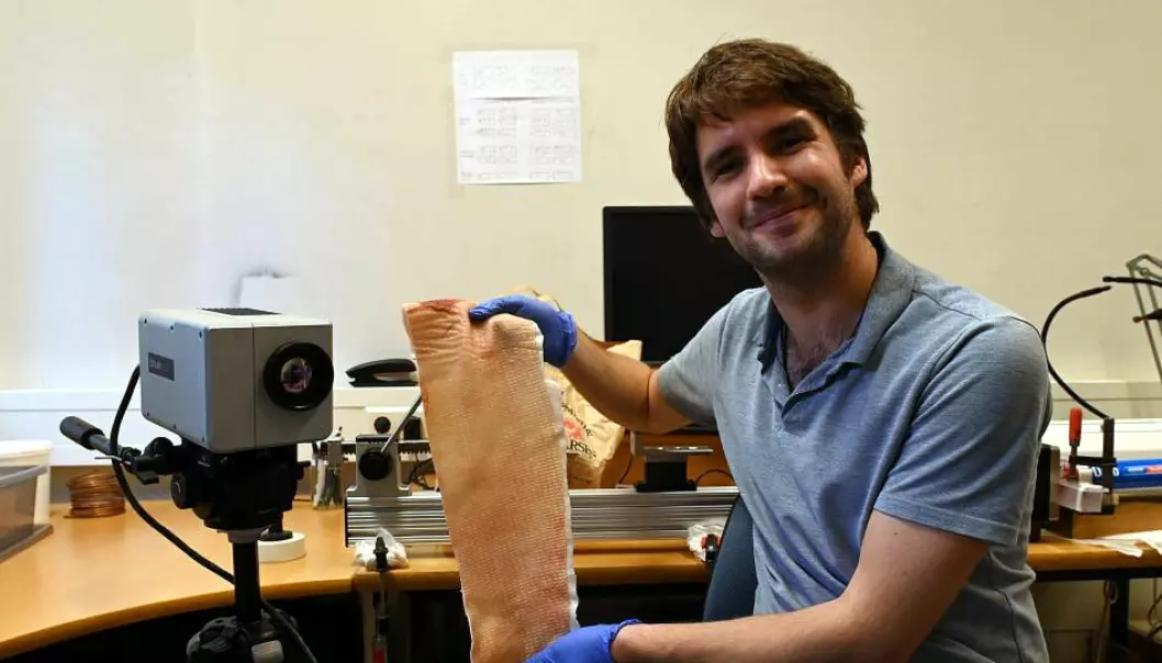 Her viser Tom Vincent-Dospital frem grisehuden han brukte i eksperimentene sine.
