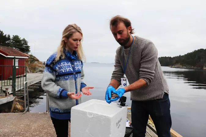 The marine researchers Tonje Knutsen Sørdalen and Kim Tallaksen Halvorsen focus on their work.