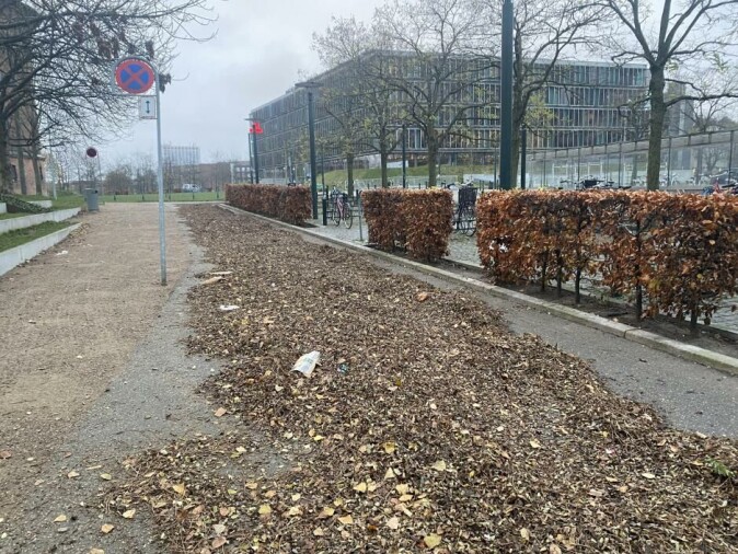 Eneulykker skjer ofte på sykkelstier som ikke er ryddet for blader, snø, is og avfall, viser forskning. Eneulykker skjer ofte på sykkelstier som ikke er ryddet for blader, snø, is og avfall, viser forskning.