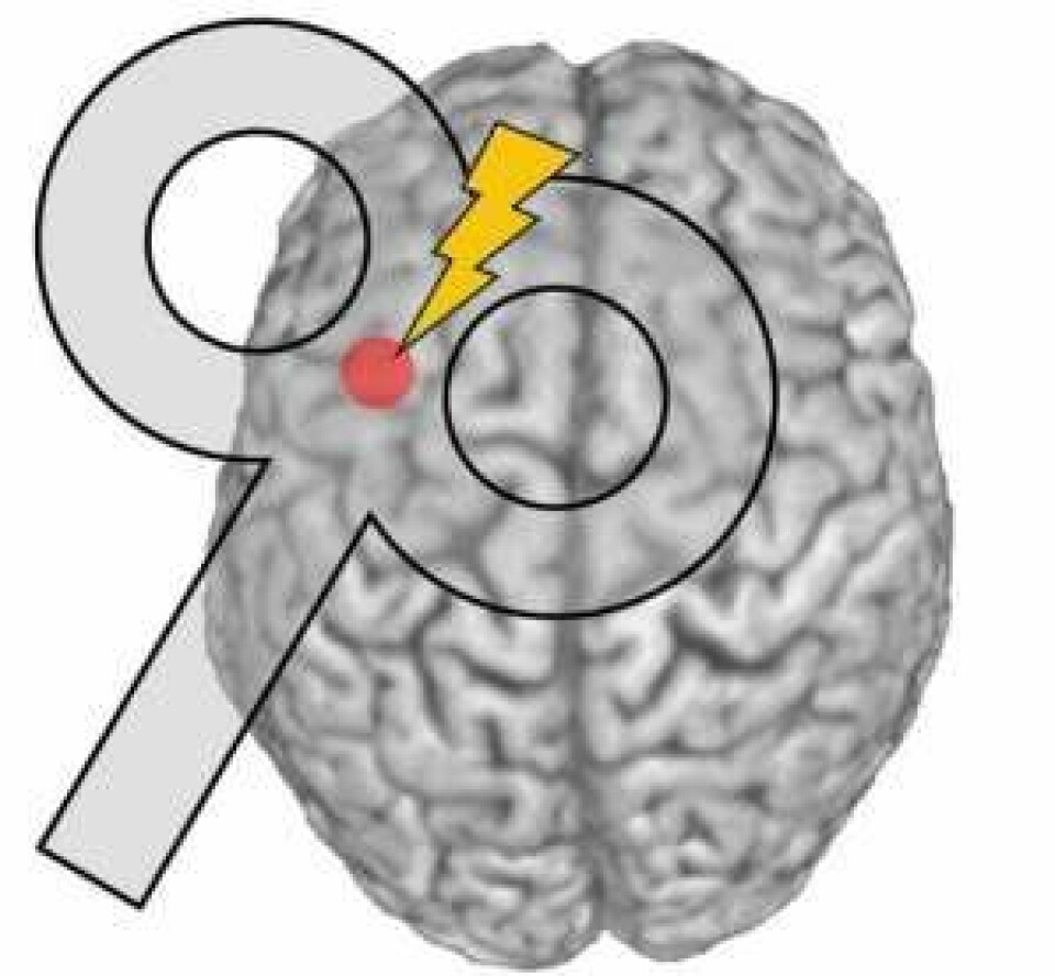 Prikken viser det lille området i hjernen som ble stimulert i forsøket. (Illustrasjon: videnskab.dk/Hartwig Siebner)