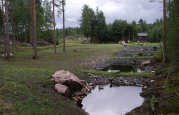Miljølab Terningmoen med målehytte i bakgrunnen, slamavskillere og fire rensedammer etablert i bekken ut fra skytefeltet. Målområdet for skytebanen sees i bakgrunnen midt i bildet. Miljølab Terningmoen med målehytte i bakgrunnen, slamavskillere og fire rensedammer etablert i bekken ut fra skytefeltet. Målområdet for skytebanen sees i bakgrunnen midt i bildet.