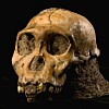 fossile datering typerhomofil dating nettsteder 2013