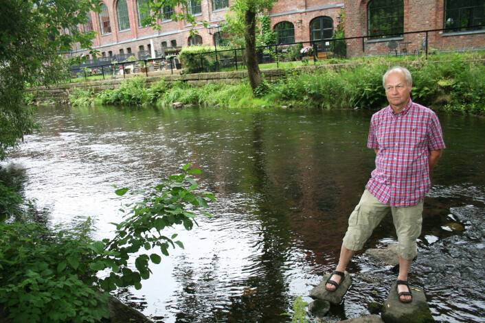 Akerselva i sensommerprakt i fjor. Her med leder for Naturhistorisk museums laboratorium for ferskvannsøkologi, Svein Jakob Saltveit, i forgrunnen. (Foto: Andreas Graven) Akerselva i sensommerprakt i fjor. Her med leder for Naturhistorisk museums laboratorium for ferskvannsøkologi, Svein Jakob Saltveit, i forgrunnen. (Foto: Andreas Graven)